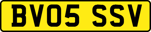 BV05SSV