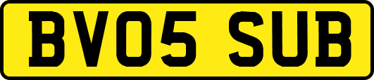 BV05SUB