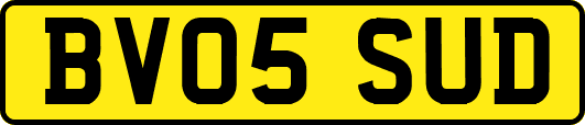 BV05SUD