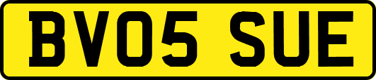 BV05SUE