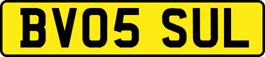 BV05SUL