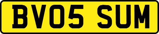 BV05SUM