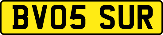 BV05SUR