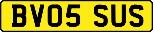 BV05SUS