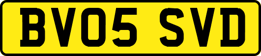 BV05SVD