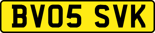 BV05SVK
