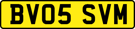 BV05SVM