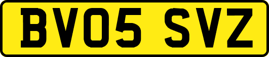 BV05SVZ