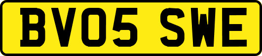 BV05SWE