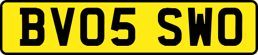 BV05SWO
