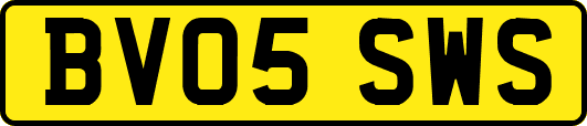 BV05SWS