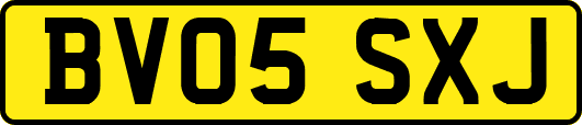 BV05SXJ