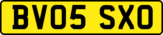BV05SXO