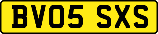BV05SXS