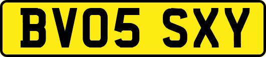 BV05SXY