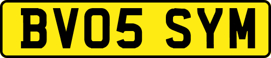 BV05SYM