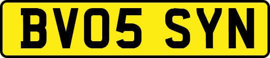 BV05SYN