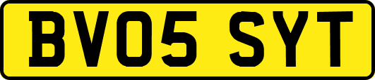 BV05SYT