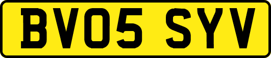 BV05SYV