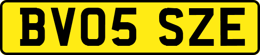BV05SZE