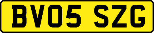 BV05SZG