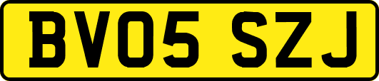 BV05SZJ