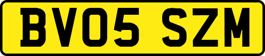 BV05SZM