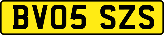 BV05SZS