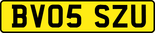 BV05SZU