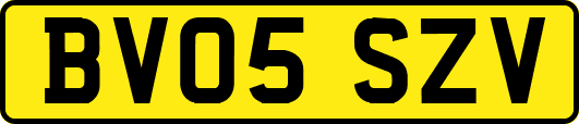 BV05SZV