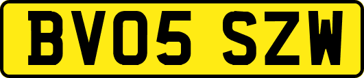 BV05SZW