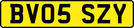 BV05SZY