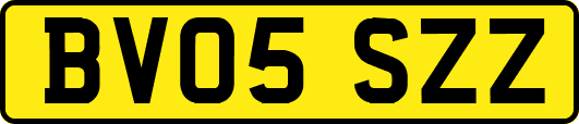 BV05SZZ