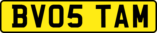 BV05TAM