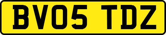 BV05TDZ