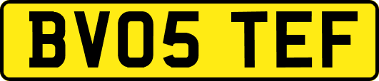 BV05TEF