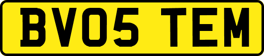 BV05TEM
