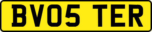 BV05TER