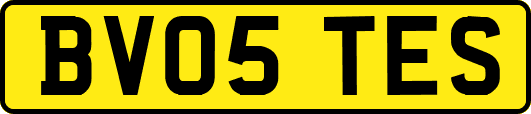 BV05TES