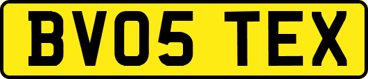 BV05TEX