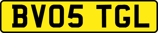 BV05TGL