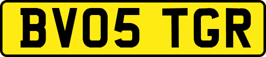 BV05TGR