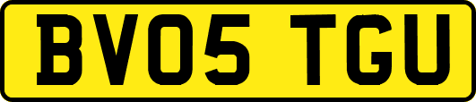 BV05TGU