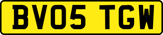 BV05TGW