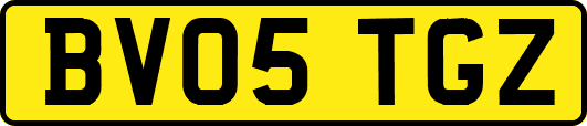 BV05TGZ