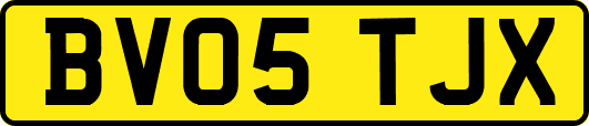 BV05TJX