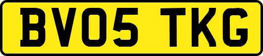 BV05TKG