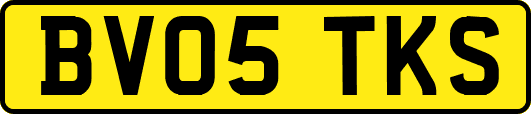 BV05TKS