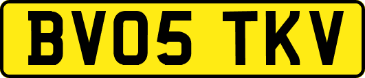 BV05TKV