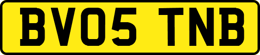 BV05TNB
